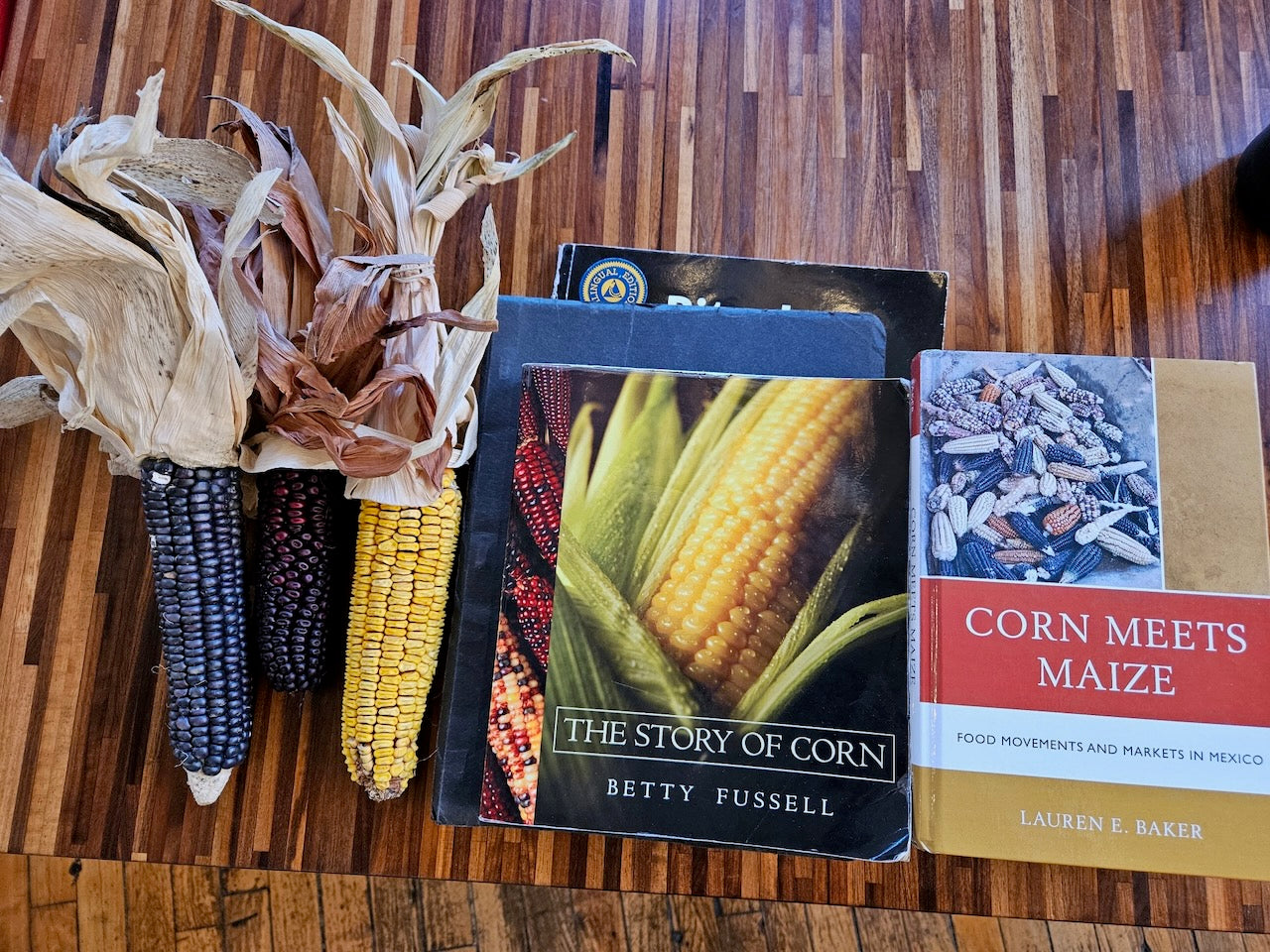 MASTERCLASS: The Past and Future of Maiz by Iván Wadgymar