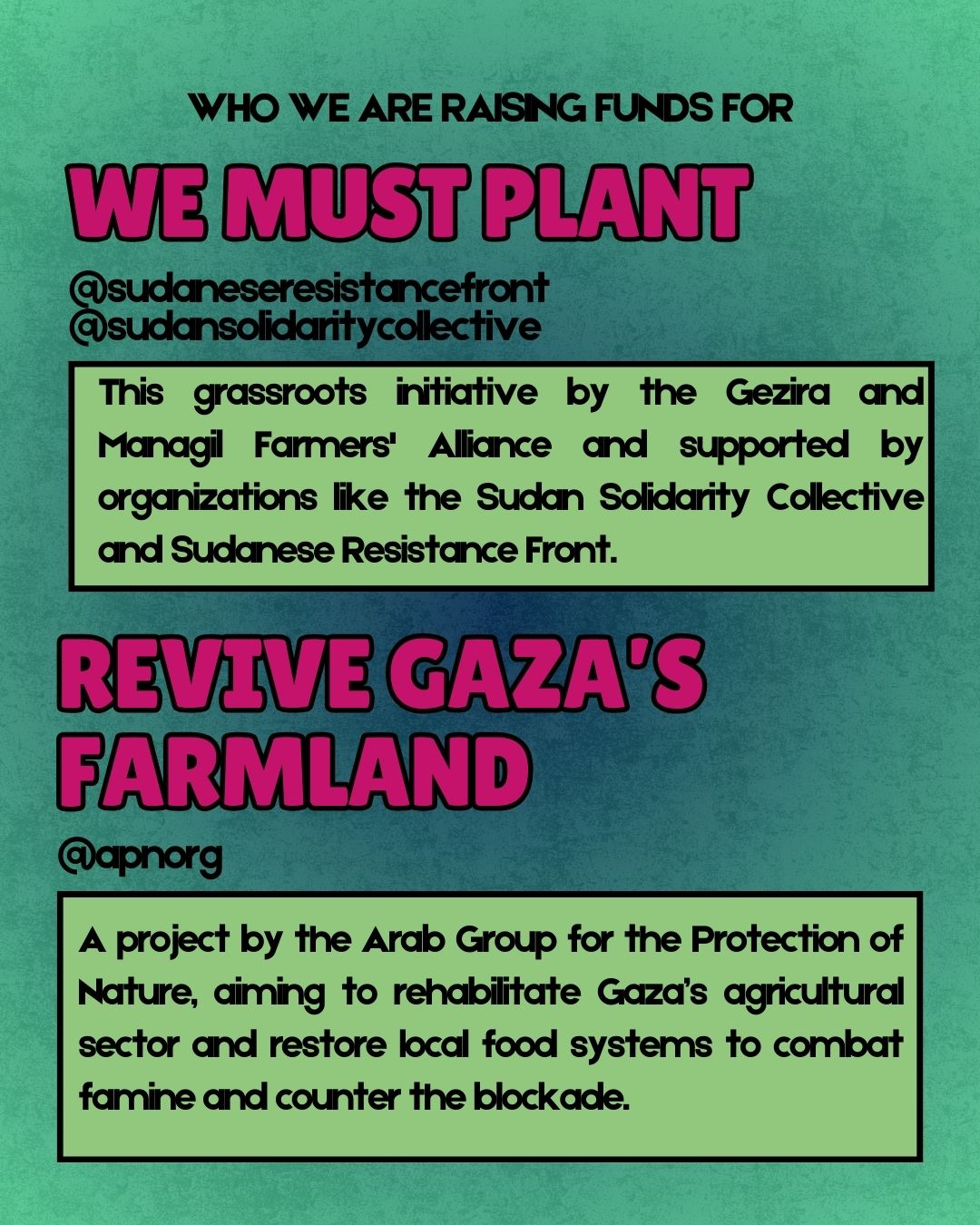 SUPPER CLUB: Seeds of Solidarity Fundraiser with Chef Doris Fin