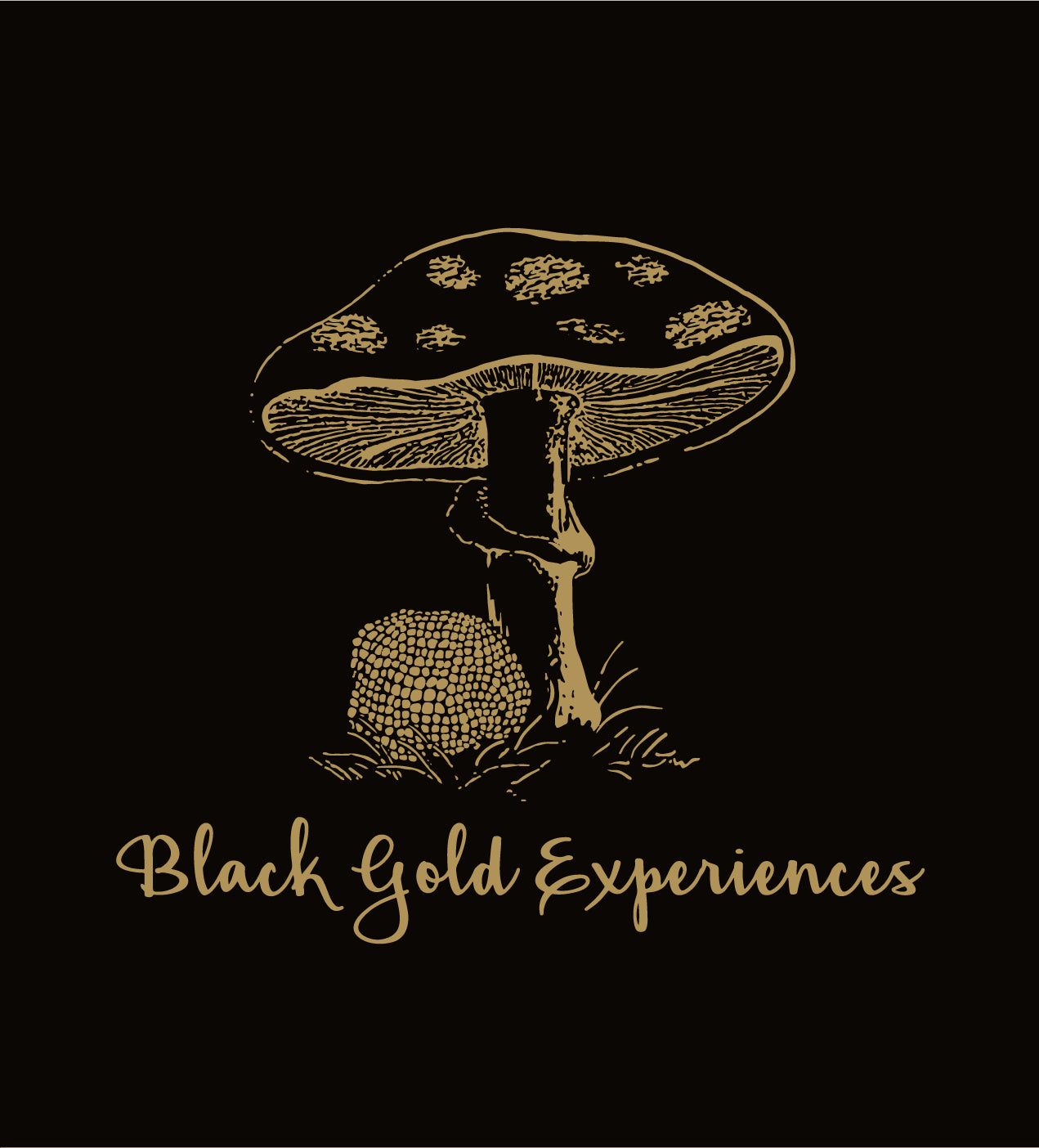 SUPPER CLUB: Black Gold - Fresh Italian Truffles with Hajira Ahmad