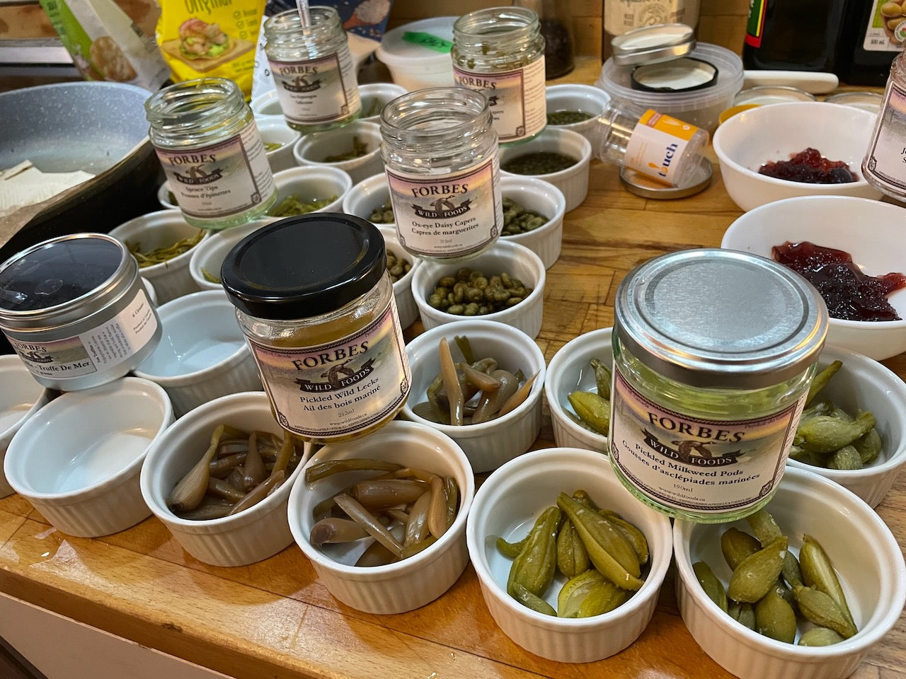 MASTERCLASS: Discovering Wild Foods with Dyson Forbes