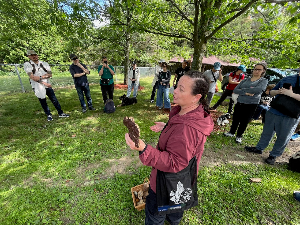 OFFSITE: Canada Day 2026 Mushroom Hunting & Foraging Expedition with Puck's Plenty