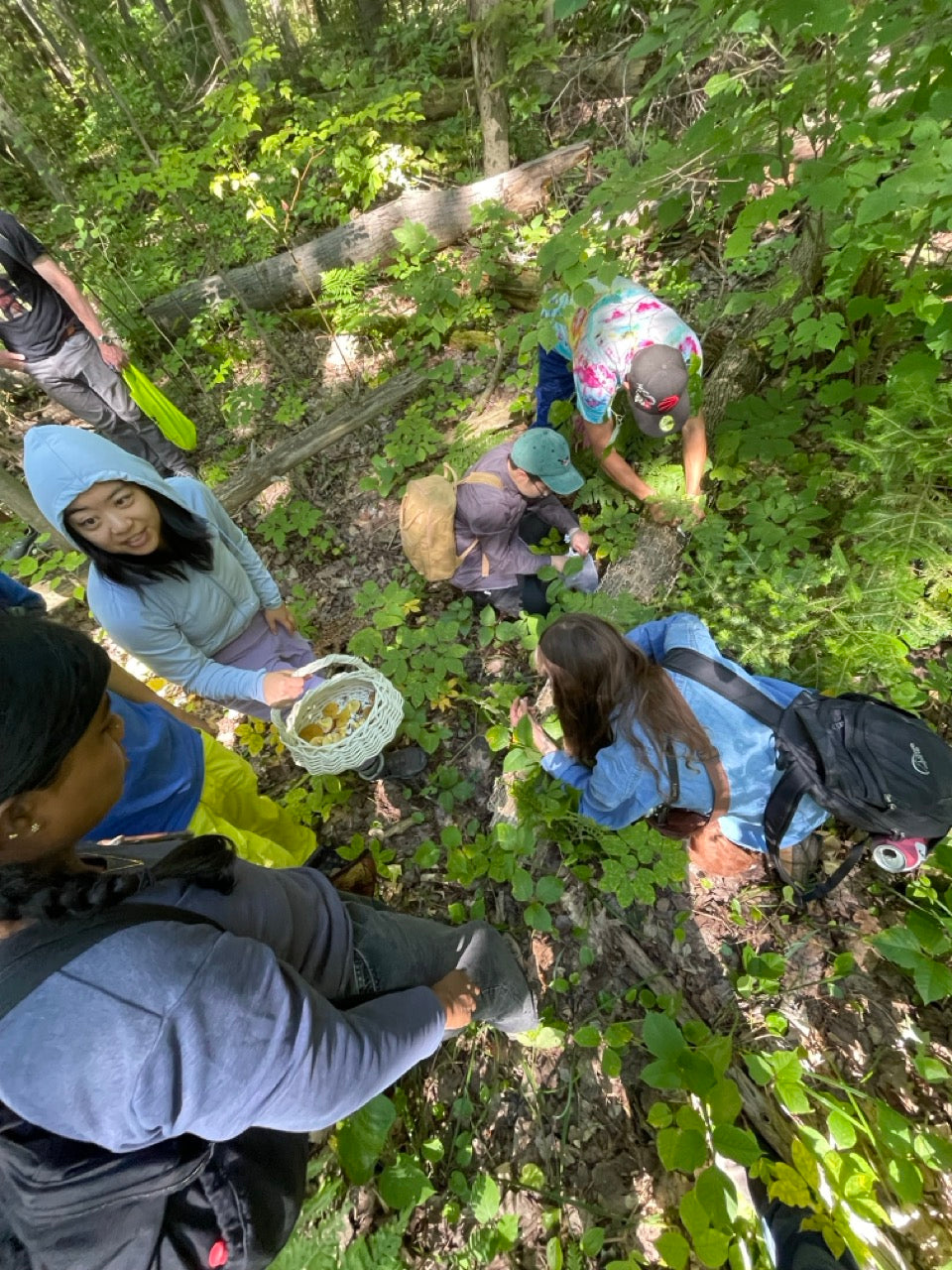 OFFSITE: Thanksgiving Mushroom Hunting & Foraging Expedition with Puck's Plenty