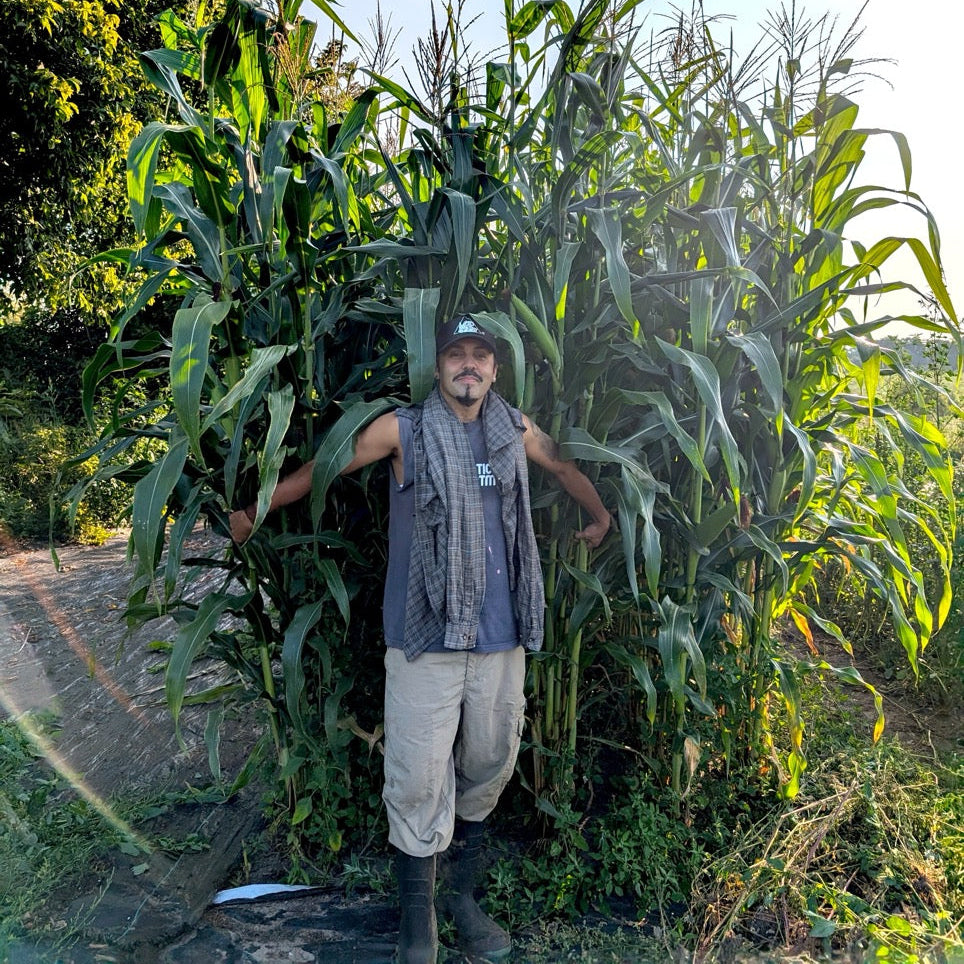 MASTERCLASS: The Past and Future of Maiz by Iván Wadgymar