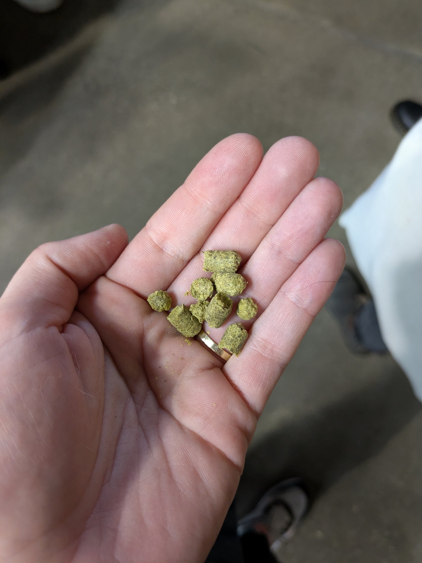 MASTERCLASS: Beer 101: From Grain to Glass by Joke Van Loon