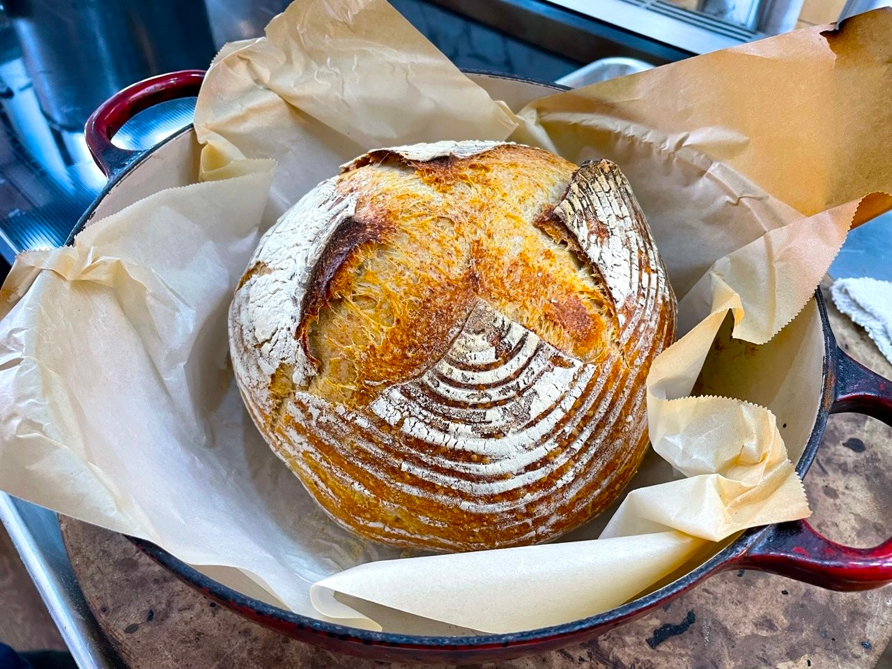 COOKING CLASS: Intro to Sourdough with Sonya Gammal