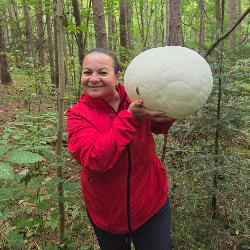 MASTERCLASS: Discovering Wild Foods with Danijela Pulcini