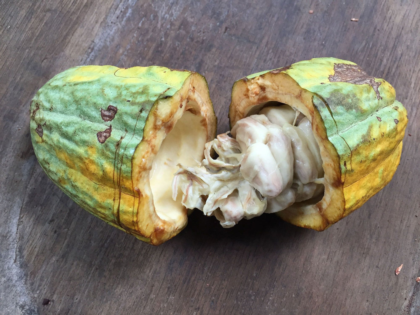 MASTERCLASS: Trick-or-Treat: A Halloween Rum & Chocolate Tasting