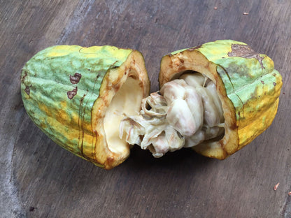 MASTERCLASS: Trick-or-Treat: A Halloween Rum & Chocolate Tasting