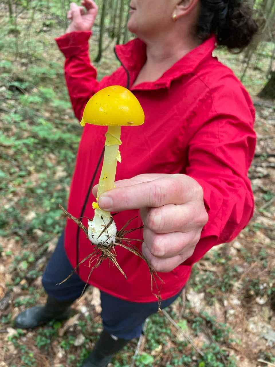OFFSITE: Labour Day 2026 Mushroom Hunting Expedition with Puck's Plenty