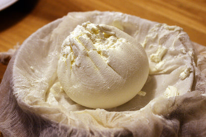 COOKING CLASS: Arabic Cheesemaking by Rahaf Alakbani