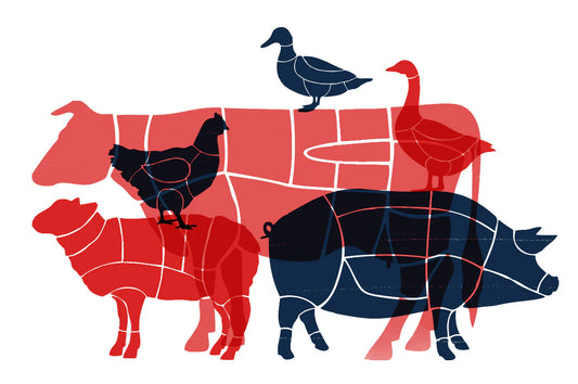 COOKING CLASS: Intro to Whole Animal Butchery by Chef Taylor Parker