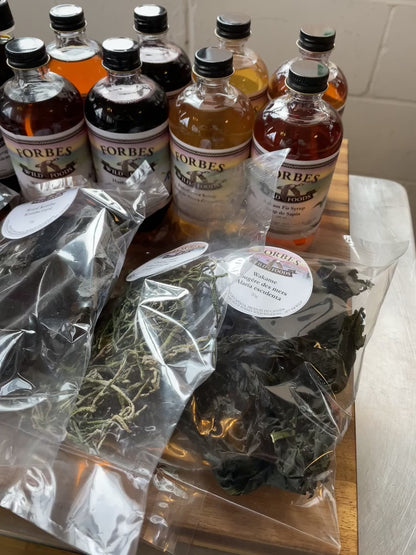 MASTERCLASS: Discovering Wild Foods with Dyson Forbes