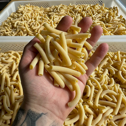 MASTERCLASS: Extruded Pastas by Anthony Sestito